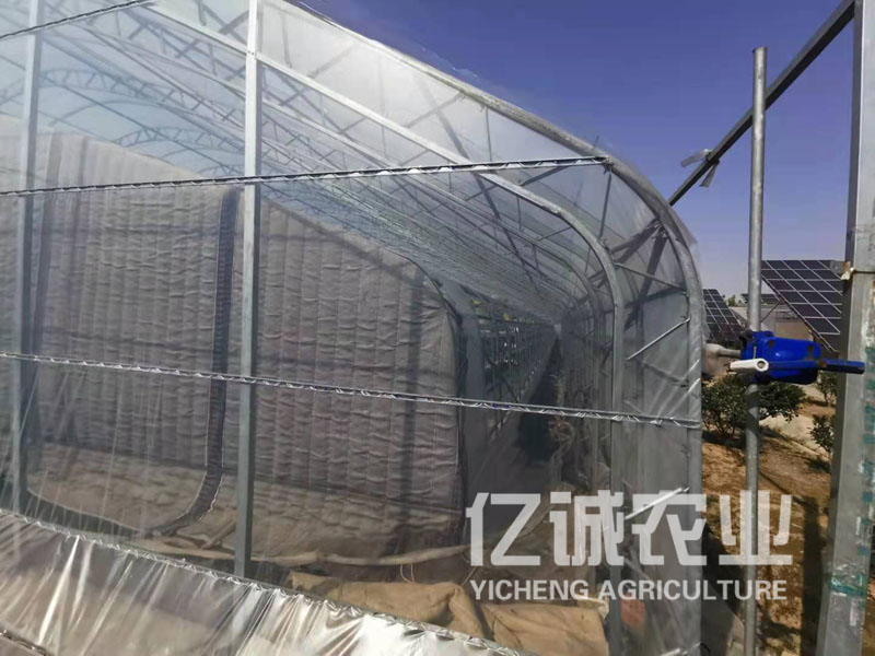 雙拱雙膜溫室大棚建設